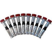 Jeu de boulons de rechange pour ancrages &agrave; anneau en D pour b&eacute;ton, Boulonn&eacute;, Usage Permanent/Temporaire R.M.G. Prévention