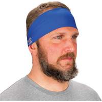 Chill-Its 6634 Cooling Headband, Blue R.M.G. Prévention