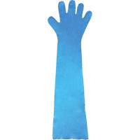 Disposable Gloves, Polyethylene, Powder-Free, Blue R.M.G. Prévention