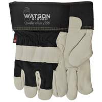 Gants Big Dawg, Petit, Paume en Cuir fleur de vache, Thinsulate R.M.G. Prévention