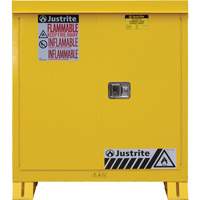 Outdoor Flammable Storage Cabinet, 30 gal., 2 Door, 43" W x 44" H x 18" D R.M.G. Prévention