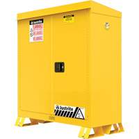 Outdoor Flammable Storage Cabinet, 30 gal., 2 Door, 43" W x 44" H x 18" D R.M.G. Prévention