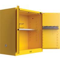 Utili-Guard+ Flammable Safety Cabinet, 30 gal., 1 Door, 43" W x 44" H x 22" D R.M.G. Prévention