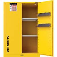 Utili-Guard+ Flammable Safety Cabinet, 45 gal., 2 Door, 43" W x 65" H x 22" D R.M.G. Prévention