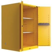 Utili-Guard+ Flammable Safety Cabinet, 45 gal., 2 Door, 43" W x 65" H x 22" D R.M.G. Prévention