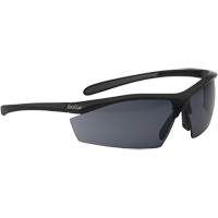 Sentinel Ballistic Protection Safety Glasses, Smoke Lens, Anti-Fog/Anti-Scratch, ANSI Z87+ R.M.G. Prévention