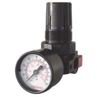 Mini r&eacute;gulateurs, 1/4" NPT, PSI max. de 165 PSI, Modulaire R.M.G. Prévention