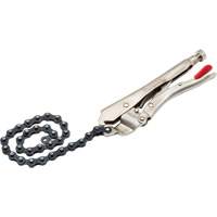 Locking Chain Clamp with Chain R.M.G. Prévention