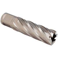 SST Annular Cutter, 13/16" Diameter, Bronze, 3" Depth of Cut, 3/4" Shank R.M.G. Prévention