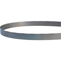 Welded Bandsaw Blade, Bi-Metal, 14' L x 1" W x 4 - 6 TPI R.M.G. Prévention