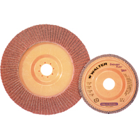 Disque &agrave; lamelles Stainless Enduro-Flex, 4-1/2" x 7/8", Type 27, Grain 40, Alumine de zirconium R.M.G. Prévention
