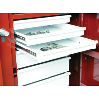 &eacute;tabli roulant, 49-7/8" la x 40-5/8" h x 26-7/8" p, Capacit&eacute; de 24,6 pi³ R.M.G. Prévention