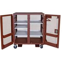 Mobile Mesh Cabinet, Steel, 37 Cubic Feet, Red R.M.G. Prévention