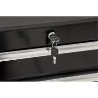 Heavy-Duty Tool Cart, 7 Drawers, 28" W x 22" D x 42-3/8" H, Black R.M.G. Prévention