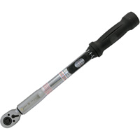 Heavy-Duty Slim Head Torque Wrench, Click, 3/8" Square Drive, 10 - 80 ft-lbs. R.M.G. Prévention
