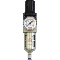Modular Filter/Regulator, 1/4" NPT, 150 PSI, 0.5 fl.oz. Capacity R.M.G. Prévention
