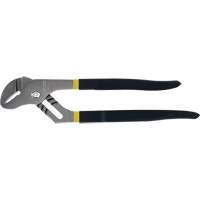 Groove Joint Pliers, 12-5/8" R.M.G. Prévention