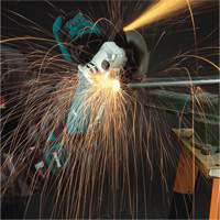 Angle Grinder with AC/DC Switch, 5", 10.5 A, 11000 RPM R.M.G. Prévention