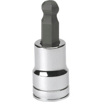SAE Bit Socket, Hex Ball, 3/8" x 1.968" L, 3/8" Drive R.M.G. Prévention