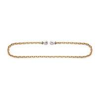 Binder Chain with Clevis Grab Hooks R.M.G. Prévention