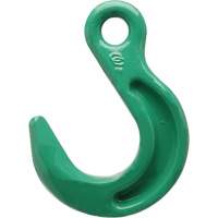 Cam-Alloy&reg; Eye Foundry Hook R.M.G. Prévention