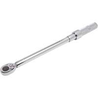 Micrometer Torque Wrench, 3/8" Square Drive, 20-100 ft-lbs. R.M.G. Prévention