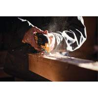 Max XR&reg; Brushless 3-Speed Oscillating Multi-Tool (Tool Only), 20 V, Lithium-Ion R.M.G. Prévention