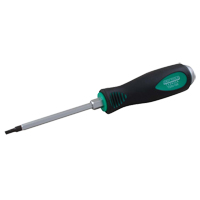 Torx&reg; Screwdriver R.M.G. Prévention