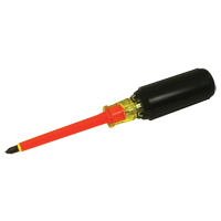 Phillips Screwdriver R.M.G. Prévention