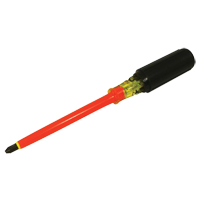 Phillips Screwdriver R.M.G. Prévention