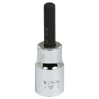 Bit Socket, 1/4" x 2-3/10" L, 3/8" Drive R.M.G. Prévention