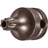 Embout &agrave; ins&eacute;rer, Torx inviolable, 25 x 1" lo, Prise 3/8" R.M.G. Prévention