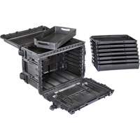Gen 2 Mobile Tool Chest, 24" W, 6 Drawers, Black R.M.G. Prévention