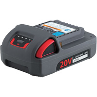 Batterie de s&eacute;rie IQV20, Lithium-ion, 20 V, 2,5 Ah R.M.G. Prévention