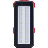 M12 Rover Service & Repair Flood Light with USB Charging, LED, 700 Lumens R.M.G. Prévention