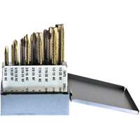 Drillco&reg; Tap Set, 10 Pieces R.M.G. Prévention