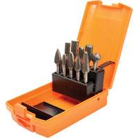 DC Carbide Burr Kit, 10 Pieces R.M.G. Prévention