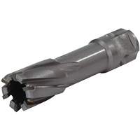 Couteau annulaire &agrave; tige universelle, Diam&egrave;tre de 1/2", Carbure, Profondeur de la coupe de 1", Tige 3/4" R.M.G. Prévention