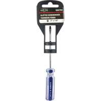 Tournevis &agrave; fente bleu transparent avec bandes , Tige de 1/8", Ronde, Prise en Plastique R.M.G. Prévention