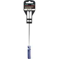 Blue Transparent Striped Slotted Screwdriver, 1/8" Tip, Round, Plastic Handle R.M.G. Prévention