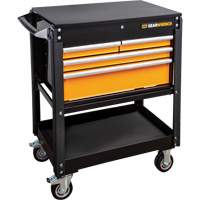 MEGAMOD Master Mechanics Tool Set in Premium Modular Foam Trays with Tool Storage, 1268 Pieces R.M.G. Prévention