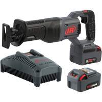 Cordless Reciprocating Saw Kit, 20 V, Lithium-Ion Battery, 3000 SPM R.M.G. Prévention