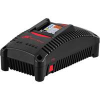 Chargeur de batterie IQV40, 40 V, Lithium-ion R.M.G. Prévention