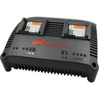 Chargeur universel s&eacute;rie IQV, 12 V/20 V, Lithium-ion R.M.G. Prévention