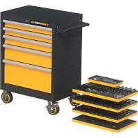 Mechanics Tool Set in Modular Foam Trays with Storage Unit, 247 Pieces R.M.G. Prévention