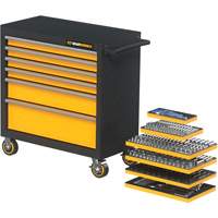 MEGAMOD Metric Mechanics Tool Set in Modular Foam Trays with Rolling Cabinet, 358 Pieces R.M.G. Prévention