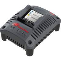 IQV20 Compact Battery Charger, 20 V, Lithium-Ion R.M.G. Prévention