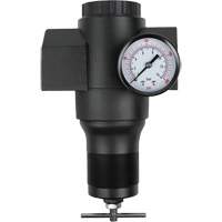 Aluminum Regulator, 1-1/2" NPT, 300 psi Max. PSI, In Line R.M.G. Prévention