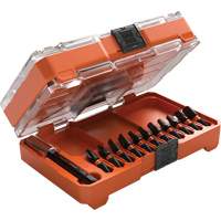 Slim ProFlex Impact Bit Set, 12 Pcs., Magnetic R.M.G. Prévention