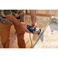 Colt Electronic Variable-Speed Palm Router R.M.G. Prévention